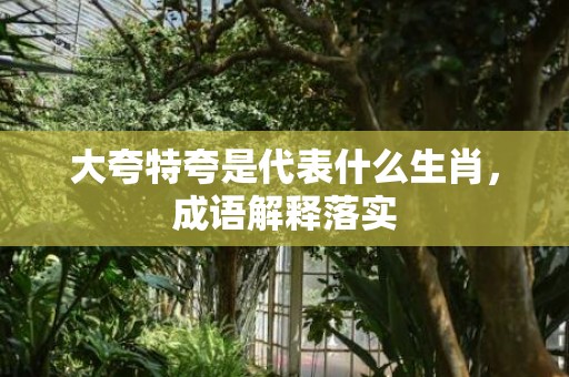 大夸特夸是代表什么生肖，成语解释落实