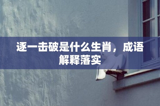逐一击破是什么生肖，成语解释落实