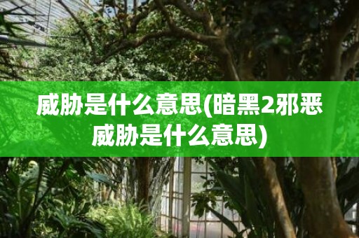 威胁是什么意思(暗黑2邪恶威胁是什么意思)
