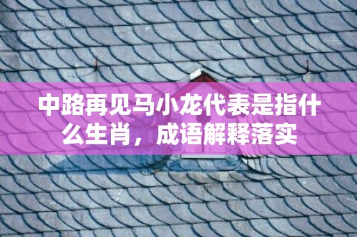 中路再见马小龙代表是指什么生肖，成语解释落实