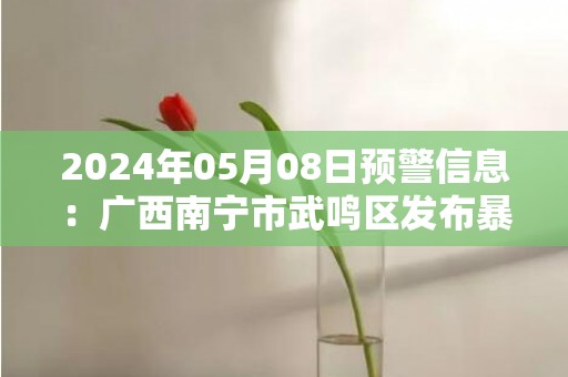 2024年05月08日预警信息：广西南宁市武鸣区发布暴雨橙色预警