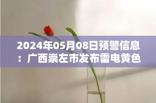 2024年05月08日预警信息：广西崇左市发布雷电黄色预警