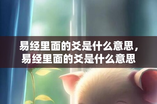 易经里面的爻是什么意思，易经里面的爻是什么意思