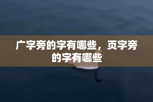 广字旁的字有哪些，页字旁的字有哪些