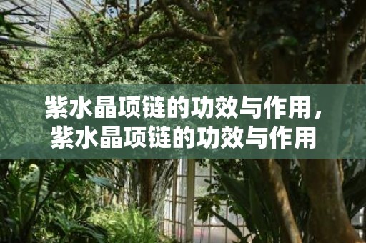 紫水晶项链的功效与作用，紫水晶项链的功效与作用