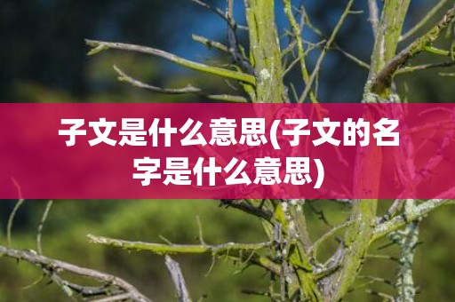 子文是什么意思(子文的名字是什么意思)