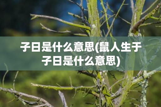 子日是什么意思(鼠人生于子日是什么意思)