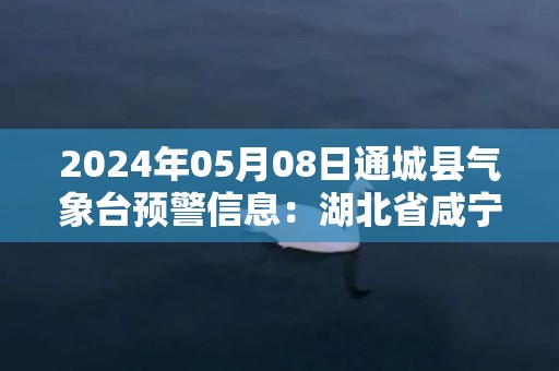 2024年05月08日通城县气象台预警信息：湖北省咸宁市通城县发布大雾橙色预警