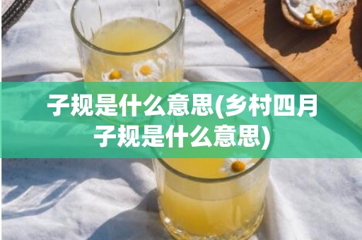 子规是什么意思(乡村四月子规是什么意思)
