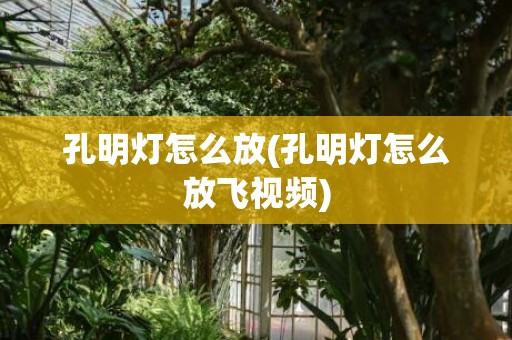 孔明灯怎么放(孔明灯怎么放飞视频)