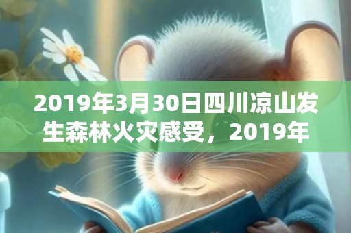 2019年3月30日四川凉山发生森林火灾感受，2019年3月3号出生的男宝宝五行缺木要如何起名字