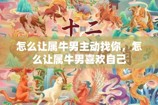 怎么让属牛男主动找你，怎么让属牛男喜欢自己