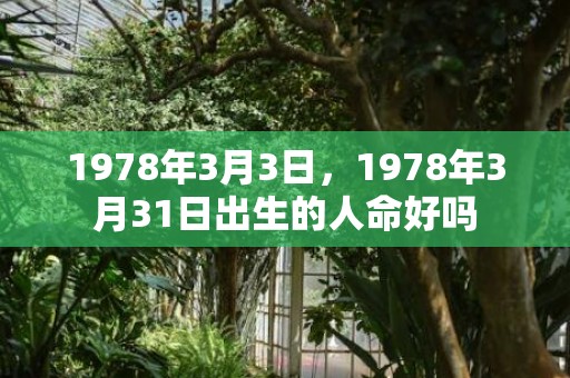 1978年3月3日，1978年3月31日出生的人命好吗