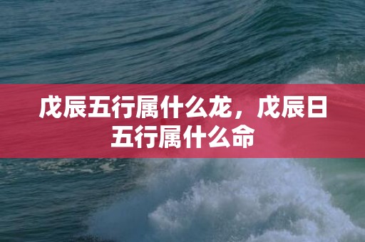 戊辰五行属什么龙，戊辰日五行属什么命