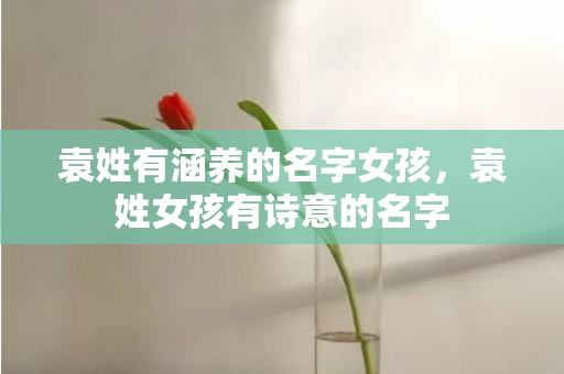 袁姓有涵养的名字女孩，袁姓女孩有诗意的名字