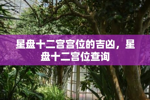 星盘十二宫宫位的吉凶，星盘十二宫位查询