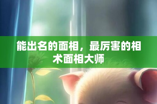 能出名的面相，最厉害的相术面相大师