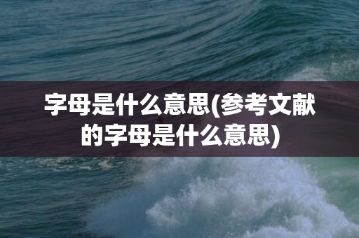 字母是什么意思(参考文献的字母是什么意思)
