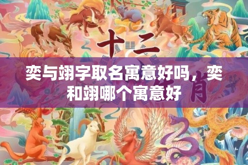 奕与翊字取名寓意好吗，奕和翊哪个寓意好