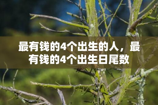 最有钱的4个出生的人，最有钱的4个出生日尾数