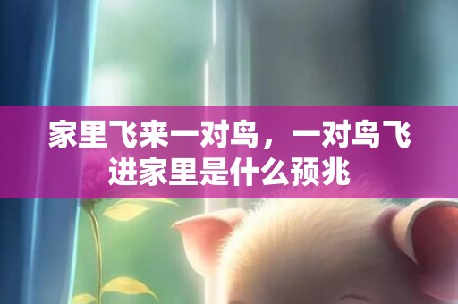 家里飞来一对鸟，一对鸟飞进家里是什么预兆