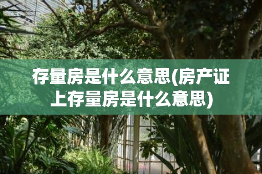 存量房是什么意思(房产证上存量房是什么意思)