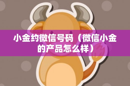 小金约微信号码（微信小金的产品怎么样）
