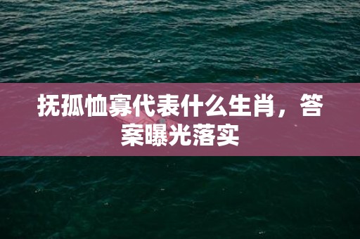 抚孤恤寡代表什么生肖，答案曝光落实