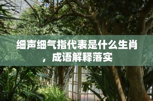 细声细气指代表是什么生肖，成语解释落实