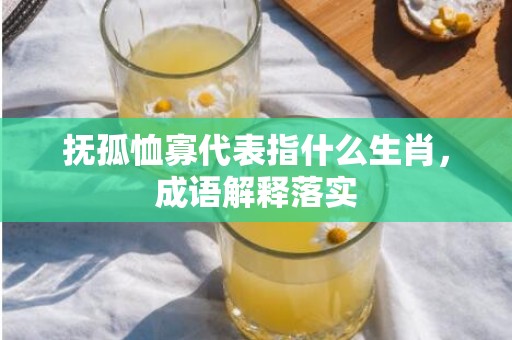 抚孤恤寡代表指什么生肖，成语解释落实