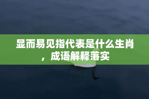 显而易见指代表是什么生肖，成语解释落实插图