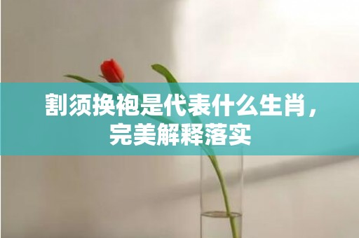 割须换袍是代表什么生肖，完美解释落实
