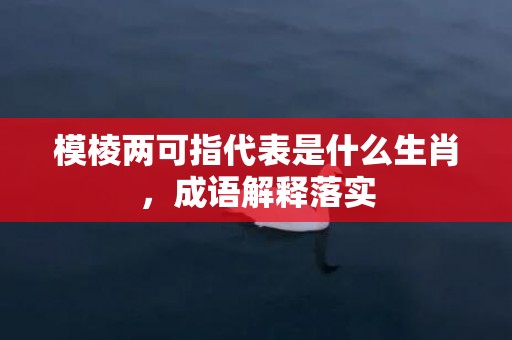 模棱两可指代表是什么生肖，成语解释落实