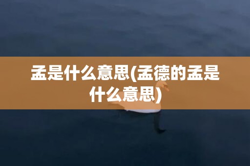 孟是什么意思(孟德的孟是什么意思)
