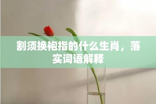 割须换袍指的什么生肖，落实词语解释