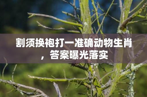 割须换袍打一准确动物生肖，答案曝光落实