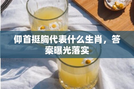仰首挺胸代表什么生肖，答案曝光落实