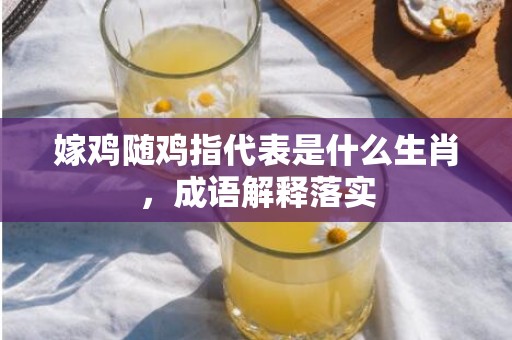 嫁鸡随鸡指代表是什么生肖，成语解释落实
