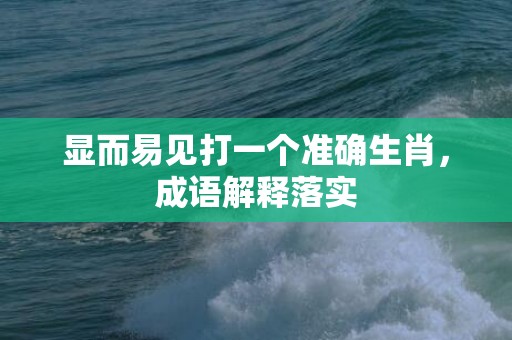 显而易见打一个准确生肖，成语解释落实