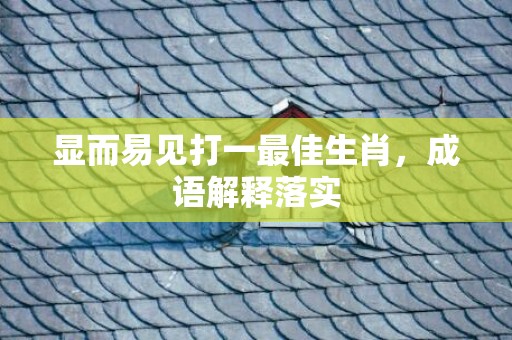 显而易见打一最佳生肖，成语解释落实