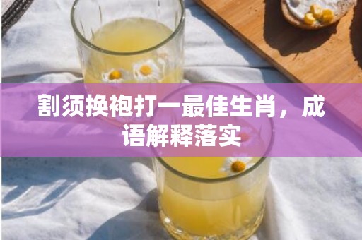 割须换袍打一最佳生肖，成语解释落实