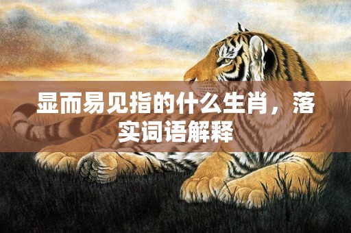 显而易见指的什么生肖，落实词语解释