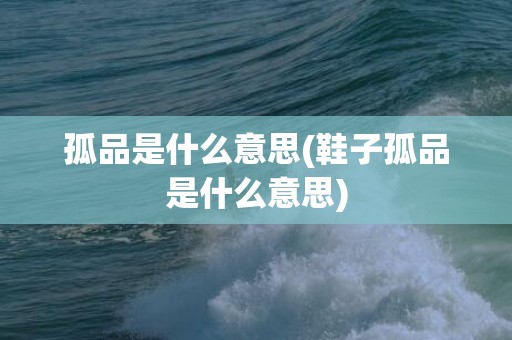 孤品是什么意思(鞋子孤品是什么意思)