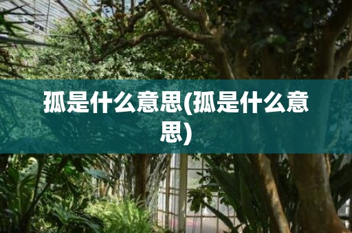孤是什么意思(孤是什么意思)