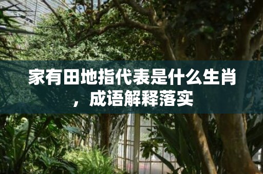 家有田地指代表是什么生肖，成语解释落实