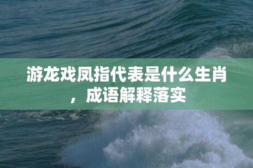 游龙戏凤指代表是什么生肖，成语解释落实