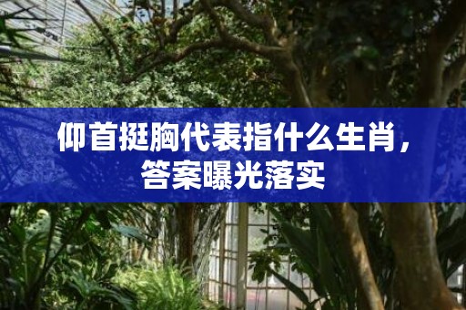 仰首挺胸代表指什么生肖，答案曝光落实