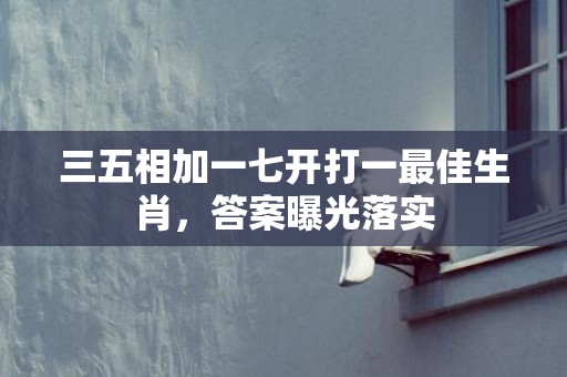三五相加一七开打一最佳生肖，答案曝光落实