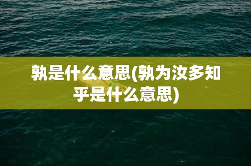 孰是什么意思(孰为汝多知乎是什么意思)