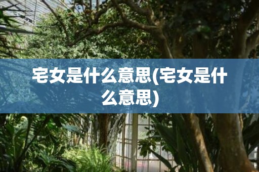宅女是什么意思(宅女是什么意思)